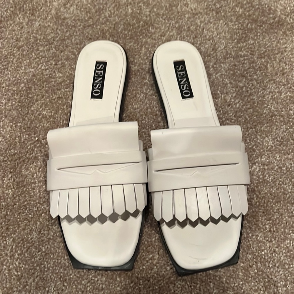 Senso slides